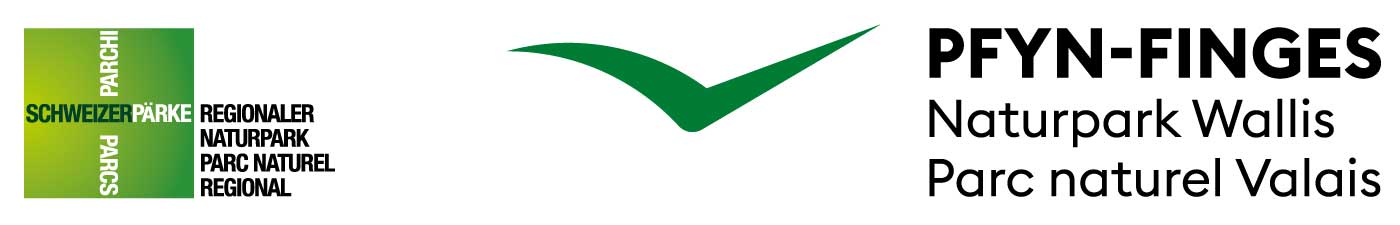 logo pfyn finges